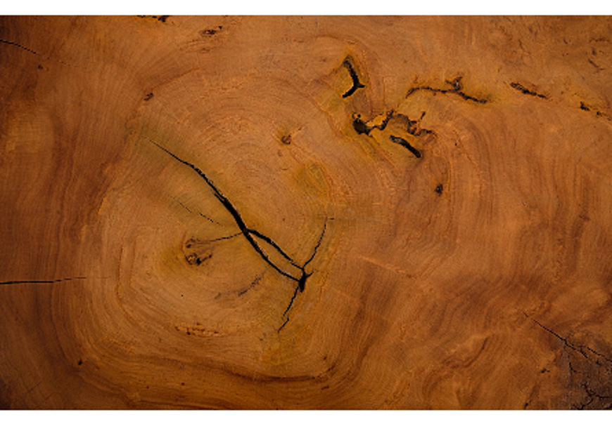 Picture of MAI THENG BURLED WOOD SIDE TABLE