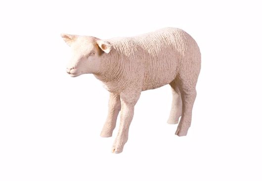 Picture of TEXELAAR SHEEP LAMB, CREAM