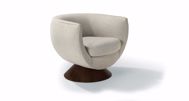 Picture of BUBBLE SWIVEL CHAIR