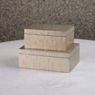 Picture of CHAMPAGNE SILVER LEAF BOXES